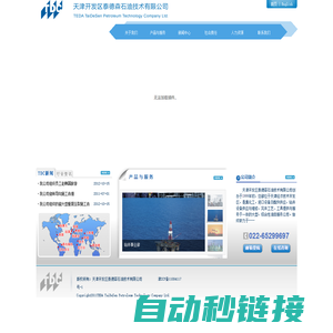 天津开发区泰德森石油技术有限公司