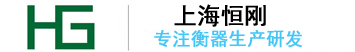 电子地磅,称重机,轮椅秤-上海恒刚仪器仪表有限公司